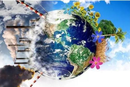 農(nóng)業(yè)的芯片：種子，水稻和小麥國產(chǎn)化率高，其他竟然全部進(jìn)口為主？